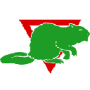 baever_net_b.png